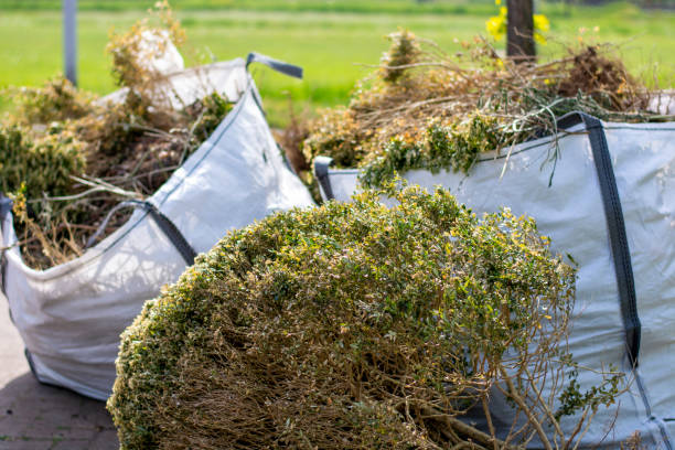 Best Yard Cleanup Services  in Neuse Forest, NC